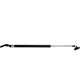 Purchase Top-Quality LESJOFORS - 8192544 - Lift Support pa2