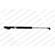 Purchase Top-Quality Lift Support by LESJOFORS - 8192563 pa1