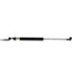 Purchase Top-Quality LESJOFORS - 8192564 - Lift Support pa2