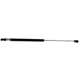 Purchase Top-Quality LESJOFORS - 8195830 - Liftgate Lift Support pa1