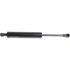 Purchase Top-Quality LESJOFORS - 8195842 - Lift Support pa2