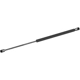 Purchase Top-Quality MONROE/EXPERT SERIES - 900382 - Lift Support pa2
