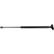 Purchase Top-Quality MONROE/EXPERT SERIES - 901381 - Lift Support pa3