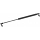 Purchase Top-Quality MONROE/EXPERT SERIES - 901383 - Lift Support pa3