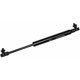 Purchase Top-Quality Lift Support by MONROE/EXPERT SERIES - 901521 pa2