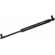 Purchase Top-Quality Lift Support by MONROE/EXPERT SERIES - 901522 pa2