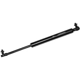 Purchase Top-Quality Lift Support by MONROE/EXPERT SERIES - 901522 pa3