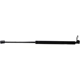 Purchase Top-Quality MONROE/EXPERT SERIES - 901638 - Lift Support pa3