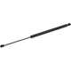 Purchase Top-Quality MONROE/EXPERT SERIES - 901782 - Lift Support pa2