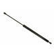 Purchase Top-Quality SACHS - SG101005 - Lift Support pa1
