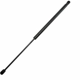 Purchase Top-Quality SACHS - SG201066 - Lift Support pa1