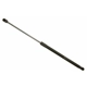 Purchase Top-Quality SACHS - SG204074 - Lift Support pa1