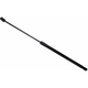 Purchase Top-Quality SACHS - SG226027 - Lift Support pa1
