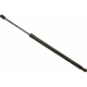 Purchase Top-Quality Lift Support by SACHS - SG229039 pa2