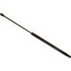 Purchase Top-Quality Lift Support by SACHS - SG230057 pa1