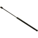 Purchase Top-Quality Lift Support by SACHS - SG303078 pa1