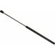 Purchase Top-Quality Lift Support by SACHS - SG304014 pa2