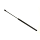 Purchase Top-Quality SACHS - SG304030 - Lift Support pa1