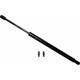 Purchase Top-Quality SACHS - SG314030 - Lift Support pa1