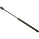 Purchase Top-Quality Support de levage de SACHS - SG314049 pa1