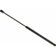 Purchase Top-Quality Lift Support by SACHS - SG315014 pa2
