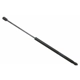 Purchase Top-Quality SACHS - SG367012 - Lift Support pa1
