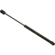 Purchase Top-Quality Support de levage de SACHS - SG404025 pa1