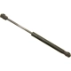 Purchase Top-Quality Lift Support by SACHS - SG427001 pa2