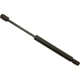 Purchase Top-Quality Lift Support by SACHS - SG430025 pa1
