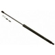 Purchase Top-Quality Lift Support by SACHS - SG126005 pa1