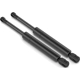 Purchase Top-Quality Lift Support by SACHS - SG229045 pa1