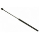 Purchase Top-Quality Lift Support by SACHS - SG304014 pa1