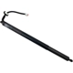 Purchase Top-Quality Lift Support by STABILUS - 2A711557 pa1
