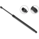 Purchase Top-Quality STABILUS - 2B273935 - Liftgate Lift Support pa1