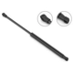 Purchase Top-Quality Lift Support by STABILUS - 3B256965 pa5