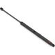 Purchase Top-Quality Lift Support by STABILUS - 3B3477XW pa6