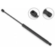 Purchase Top-Quality Lift Support by STABILUS - 3B413513 pa5