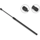 Purchase Top-Quality Lift Support by STABILUS - 3B581958 pa6