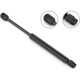Purchase Top-Quality Lift Support by STABILUS - 4B524650 pa1