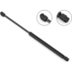 Purchase Top-Quality Lift Support by STABILUS - 4B552852 pa1