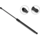 Purchase Top-Quality STABILUS - 4B889119 - Lift Support pa1