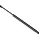 Purchase Top-Quality Lift Support by STABILUS - 4B407261 pa7