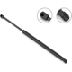 Purchase Top-Quality Lift Support by STABILUS - 4B713900 pa6