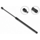Purchase Top-Quality Lift Support by STABILUS - 4B815029 pa5