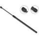 Purchase Top-Quality Lift Support by STABILUS - 5B032436 pa1