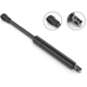 Purchase Top-Quality Lift Support by STABILUS - 5B8150BD pa5