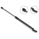 Purchase Top-Quality STABILUS - 5B873823 - Lift Support pa5