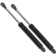 Purchase Top-Quality Lift Support by STRONG ARM - 4002 pa5