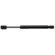 Purchase Top-Quality Lift Support by STRONG ARM - 4026 pa4