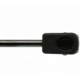 Purchase Top-Quality Lift Support by STRONG ARM - 4031 pa11